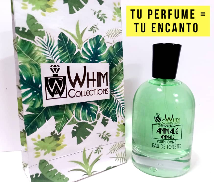 Primeras presentaciones de Whim Collections con bolsas de papel